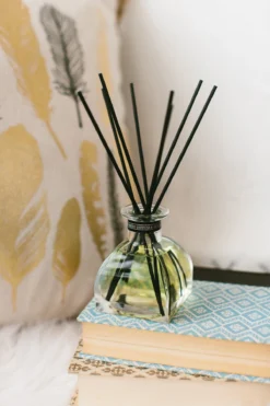 Bridgewater Interieurparfum Klein Storybook Dreams -Decori Meubelen Winkel 0655894018343 2