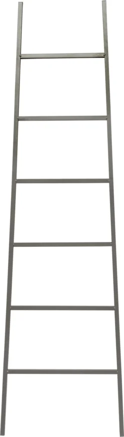 Intratuin Decoratieladder Harry Grijs 33 - 45 X 160 Cm
