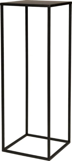 Intratuin Plantentafel Teun Zwart 25 X 25 X 70 Cm
