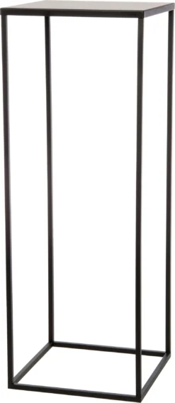 Intratuin Plantentafel Teun Zwart 22 X 22 X 60 Cm