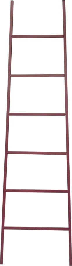 Intratuin Decoratieladder Harry Rood / Marsala 45 X 160 Cm
