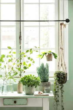 Van Der Leeden Raamklem Zwart 80 - 148 Cm