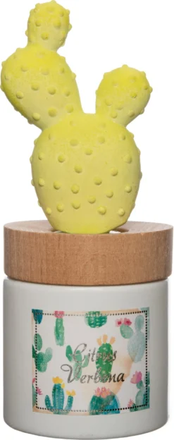 Intratuin Geurverspreider Cactus Citrus Verbena 100 Ml