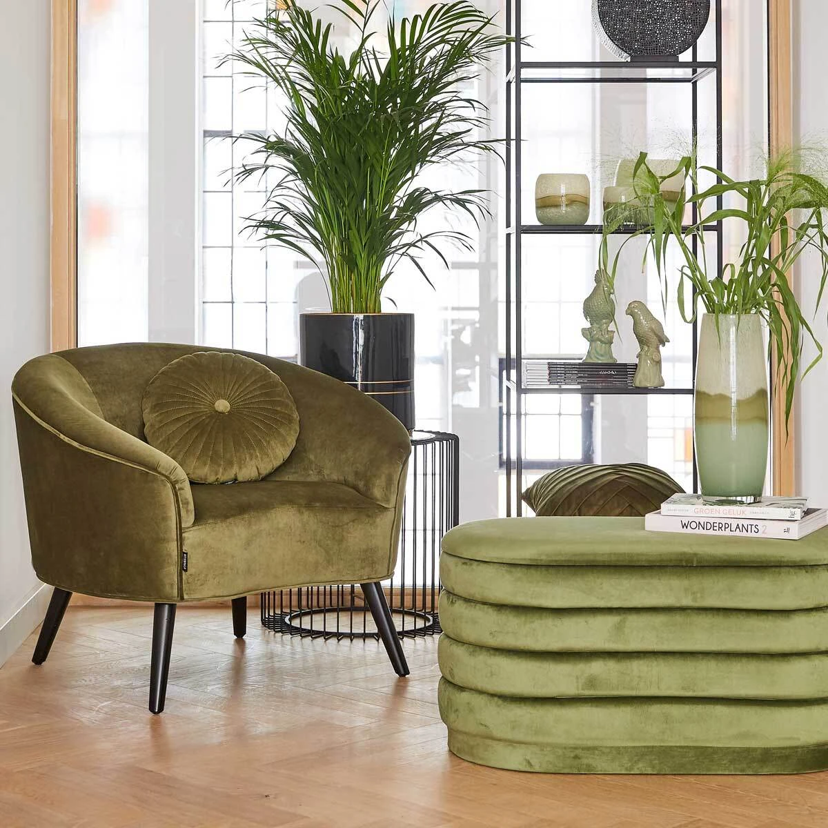 Riverdale Beeld Papegaai Mylo Groen 13,3 X 9,1 X 21 Cm 3 Riverdale Beeld Papegaai Mylo Groen 13,3 X 9,1 X 21 Cm - Afbeelding 3