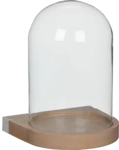 Intratuin Wandstolp Transparant D 21 H 29 Cm