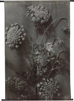 HD Collection Wandkleed Ammi Majus Multi 105 X 136 Cm