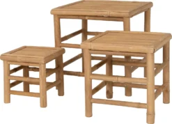 Intratuin Bijzettafel Tropisch Naturel 31 X 31 X 26 Cm -Decori Meubelen Winkel 8720196000449 3