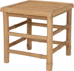 Intratuin Bijzettafel Tropisch Naturel 47 X 47 X 37 Cm