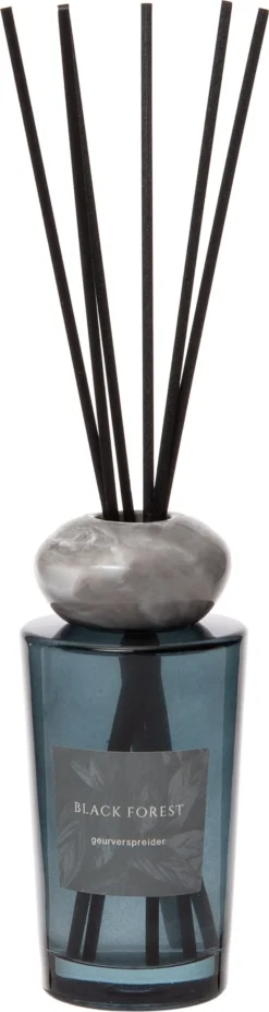 Intratuin Geurstokjes Black Forest 125 Ml