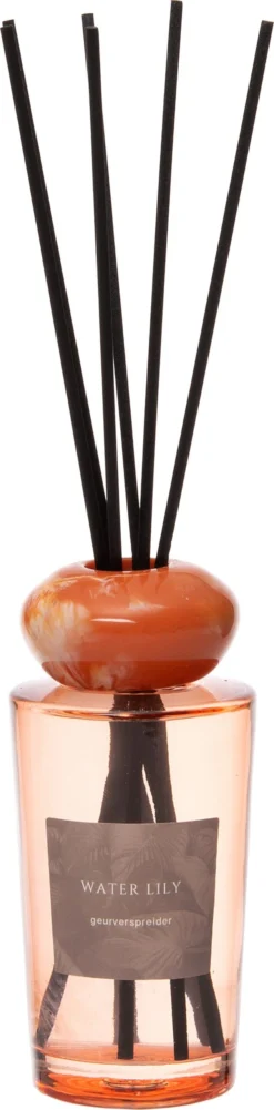 Intratuin Geurstokjes Water Lily 125 Ml
