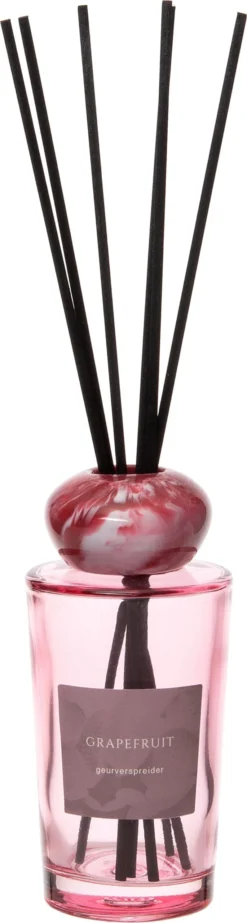 Intratuin Geurstokjes Grapefruit 125 Ml