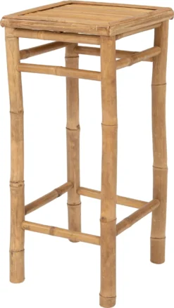 Intratuin Bijzettafel Tropisch 35 X 35 X 76 Cm