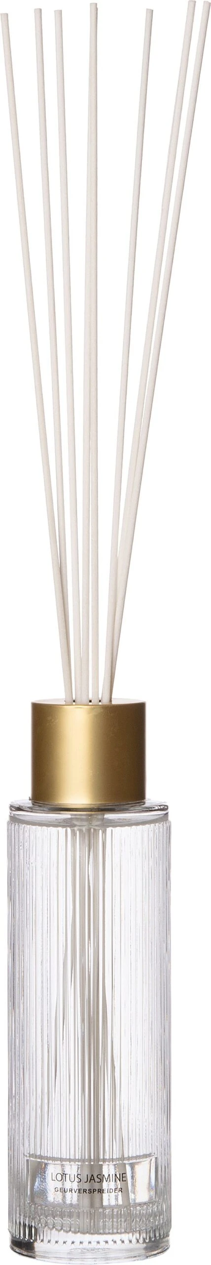 Intratuin Geurstokjes May Vanilla Patchouli 430 Ml 1 Intratuin Geurstokjes May Vanilla Patchouli 430 Ml