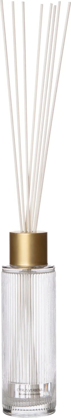 Intratuin Geurstokjes May Citrus Verbena 430 Ml