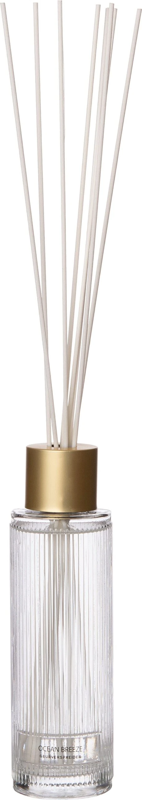 Intratuin Geurstokjes May Ocean Breeze 430 Ml 1 Intratuin Geurstokjes May Ocean Breeze 430 Ml