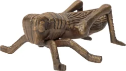 Intratuin Beeld Sprinkhaan Brons 15 X 11 X 6 Cm